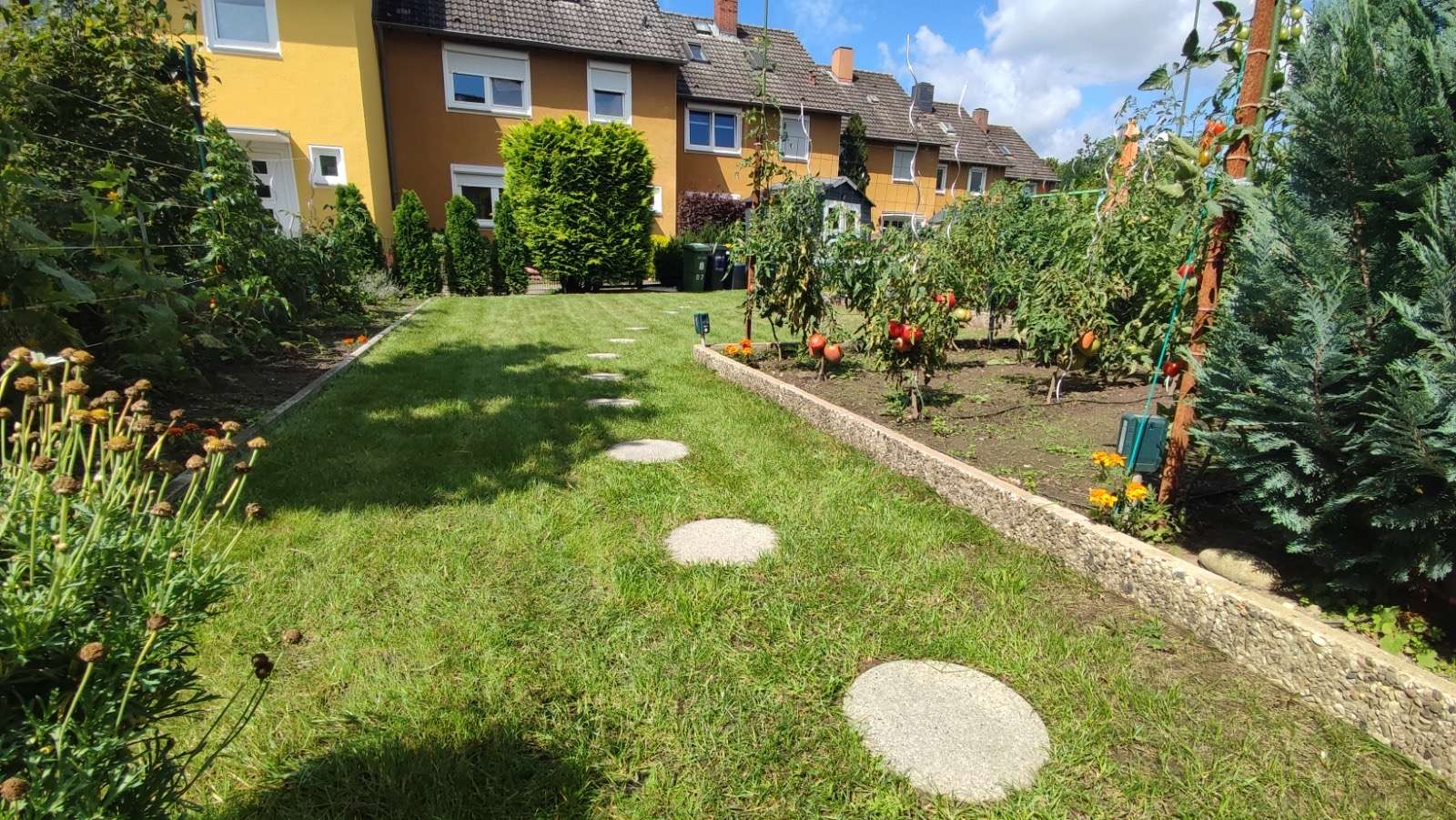 Garten (2)